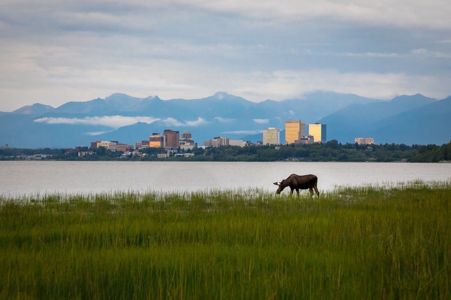 City Guide: Running in Anchorage, Alaska