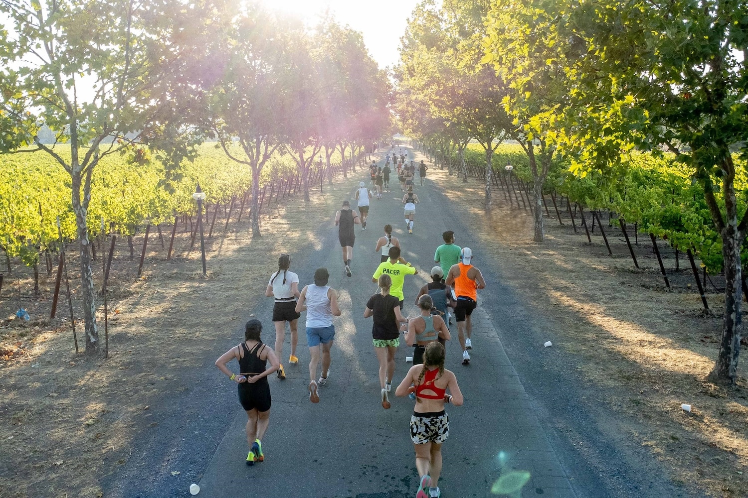 8 Spring and Summer Wine Country Half Marathons and Marathons